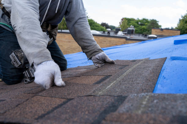 Trusted Euharlee, GA Roofing Contractor Experts